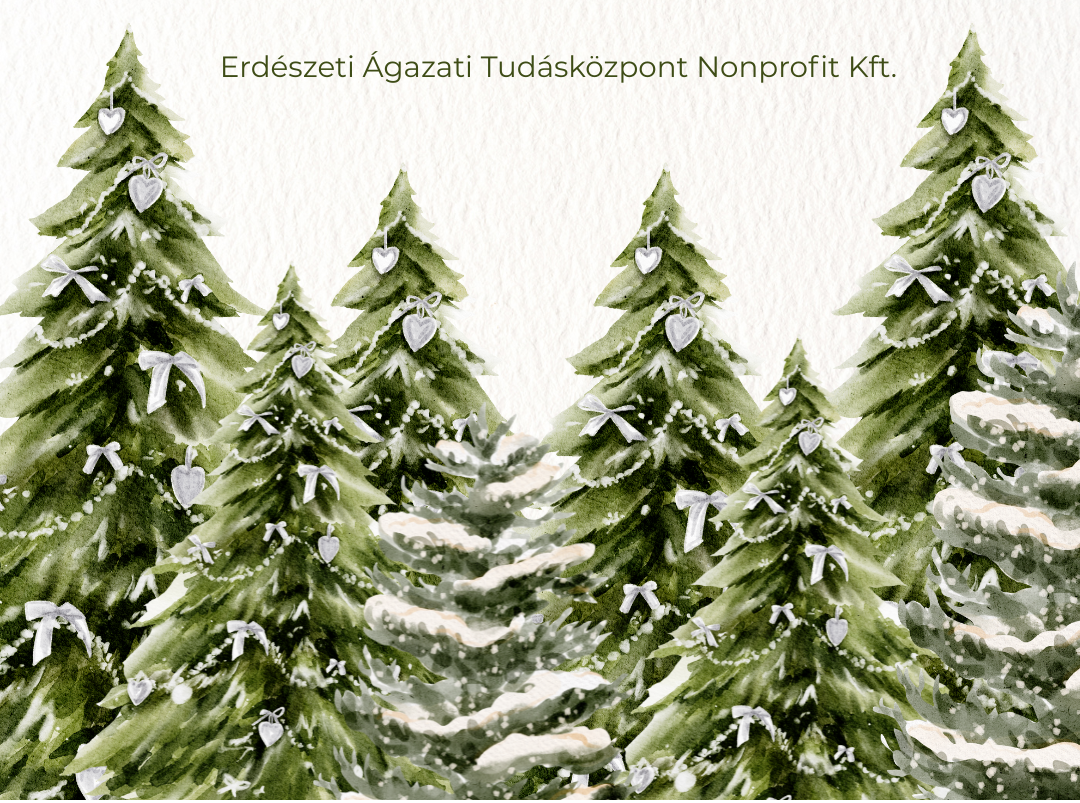 Karácsony az erdőben